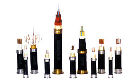 ���������Ӌ(j��)��C(j��)����̖��|